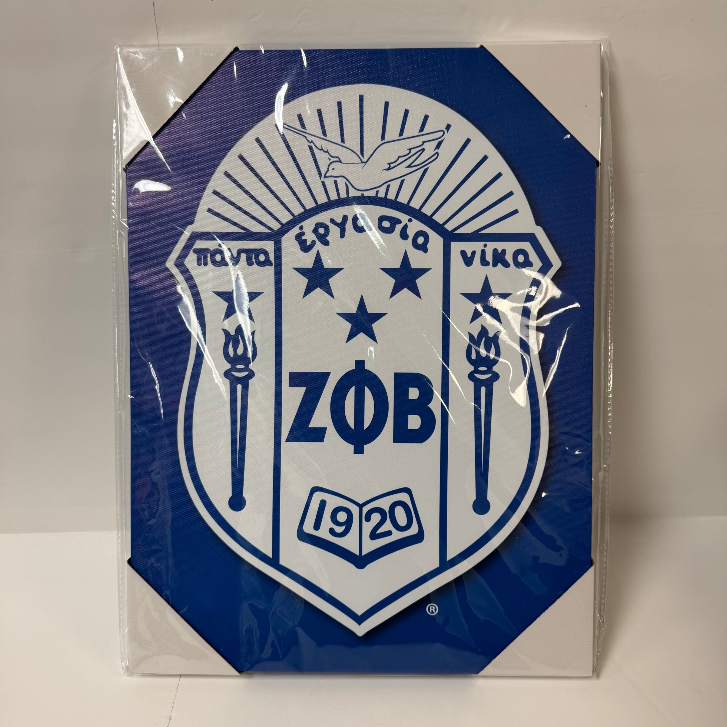 Zeta Canvas Print 12 x 16