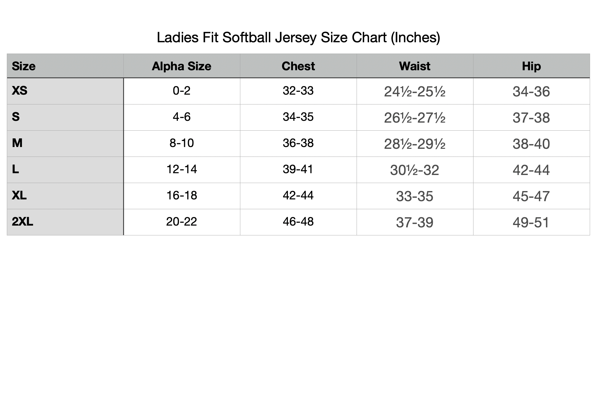 Cheer Phi 2025 Homecoming Softball Jersey