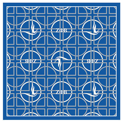 Zeta Neck Scarf