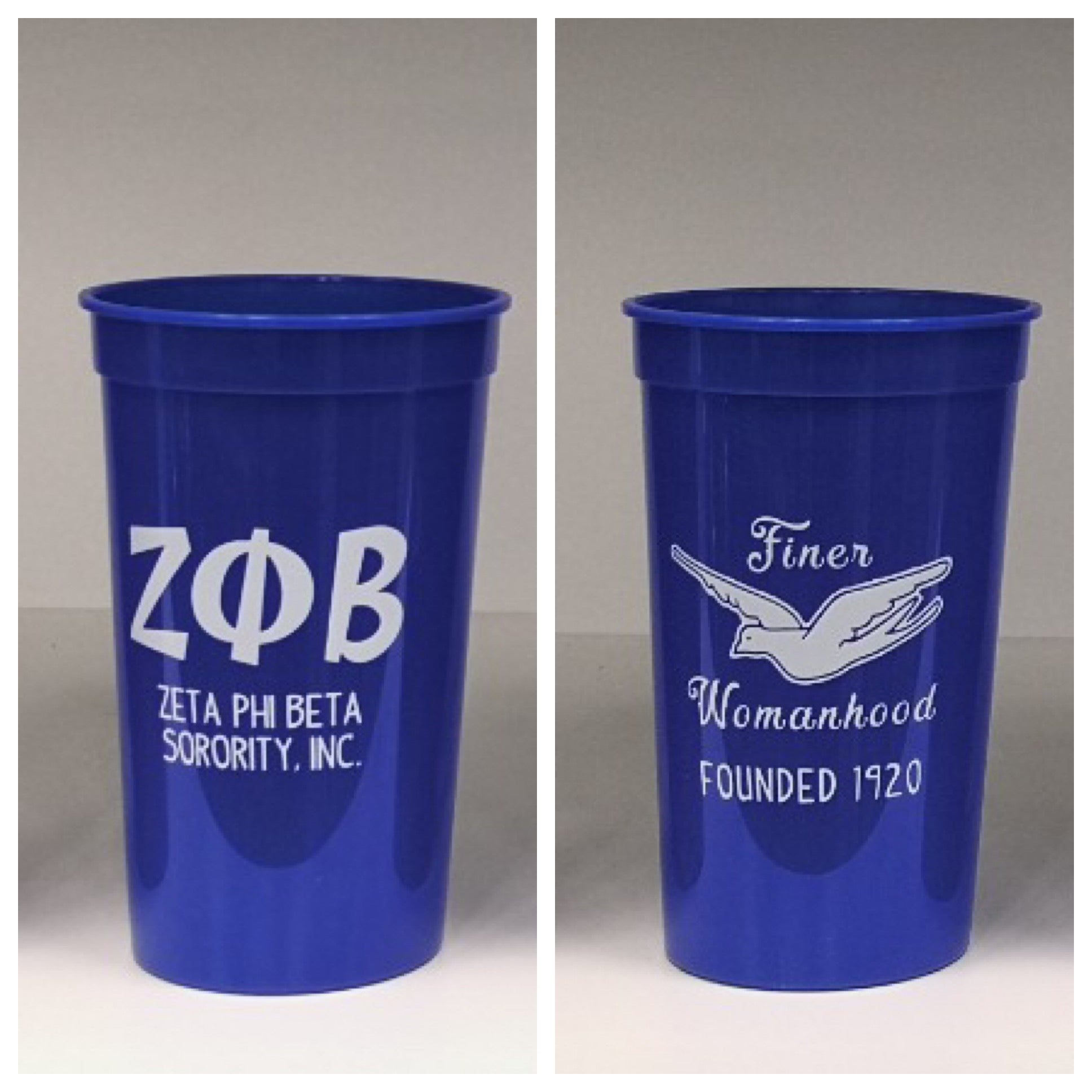 Zeta Stadium Cup