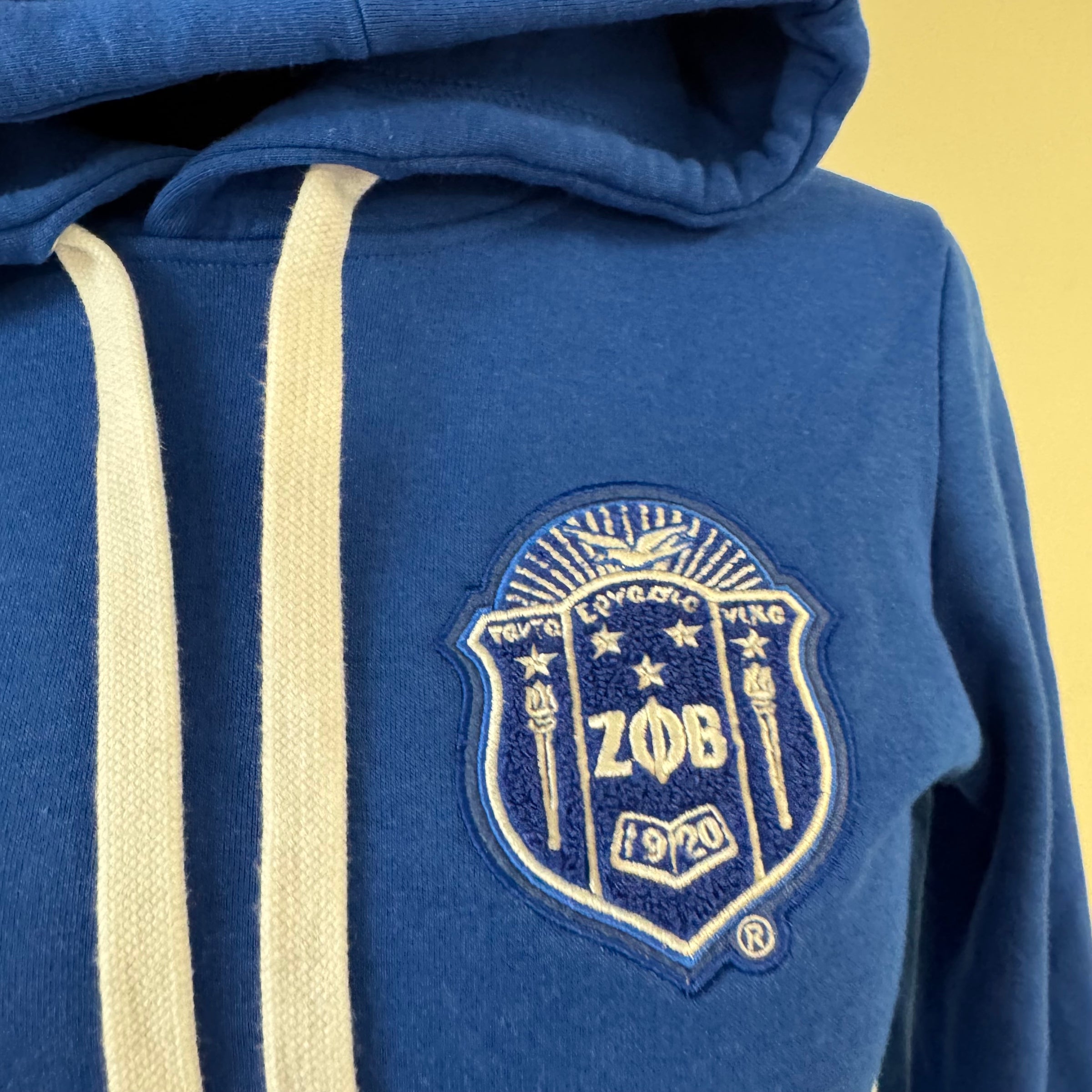 Zeta Chenille Shield Hoodie