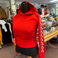 Delta Fitted Hoodie Pullover