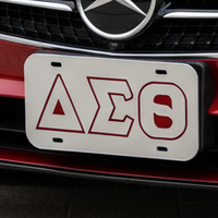 Delta Auto Front Plate Silver