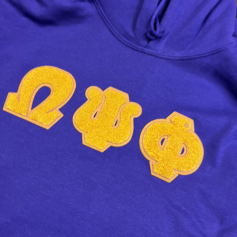 Omega Chenille Letters Hoodie