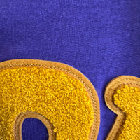 Omega Chenille Letters Hoodie