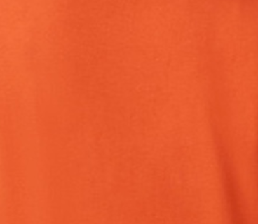 Ferree-Free-Strickland 2026 Family Reunion T-shirts