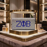 Zeta Rhinestone Flap Snap Clutch Bag Silver