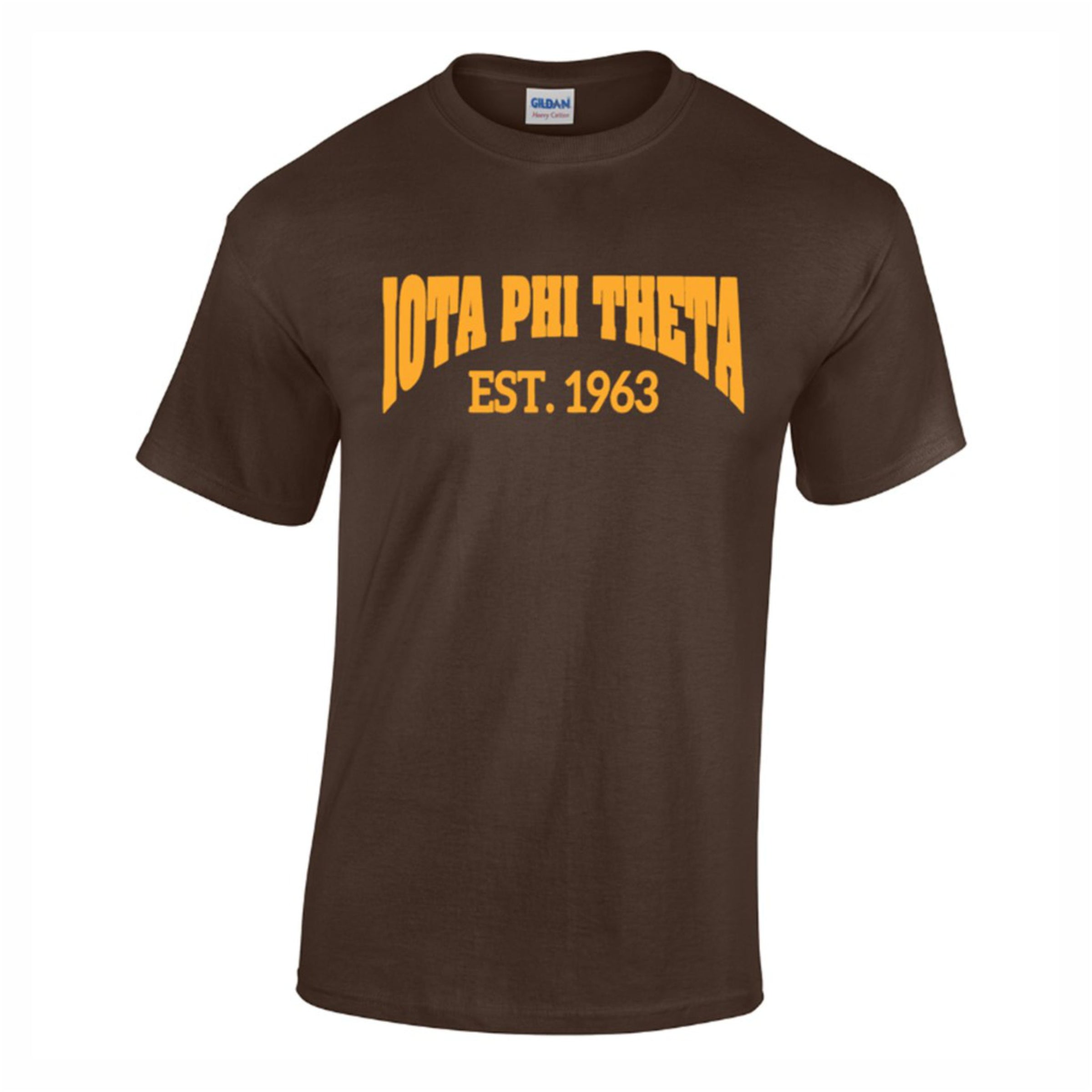 Iota Phi Theta Est. 1963 T-shirt